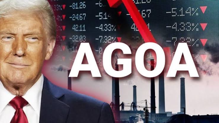 تمديد «أغوا» حتى 2026: نافذة ج ...