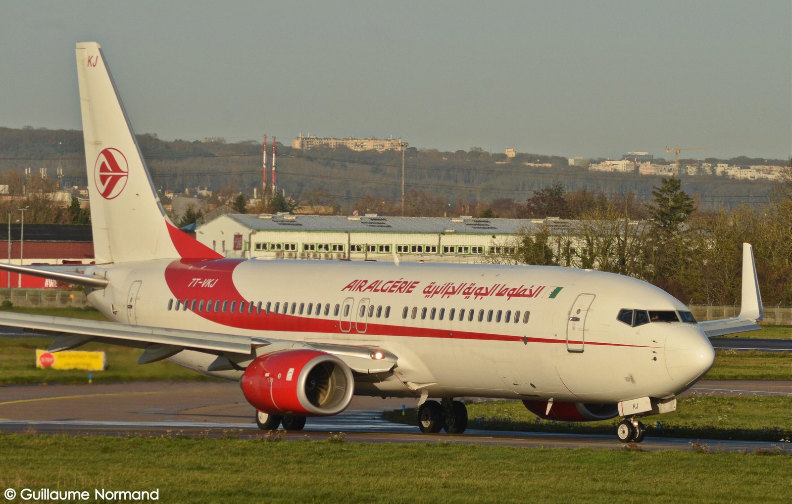 طائرة بوينغ 737-800 تابعة للخطوط الجوية الجزائرية