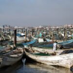 قوارب صيد تقليدية راسية في ميناء الصيد التقليدي بمدينة نواذيبو الموريتانية