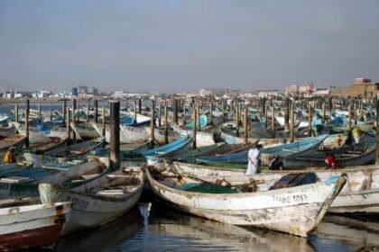قوارب صيد تقليدية راسية في ميناء الصيد التقليدي بمدينة نواذيبو الموريتانية