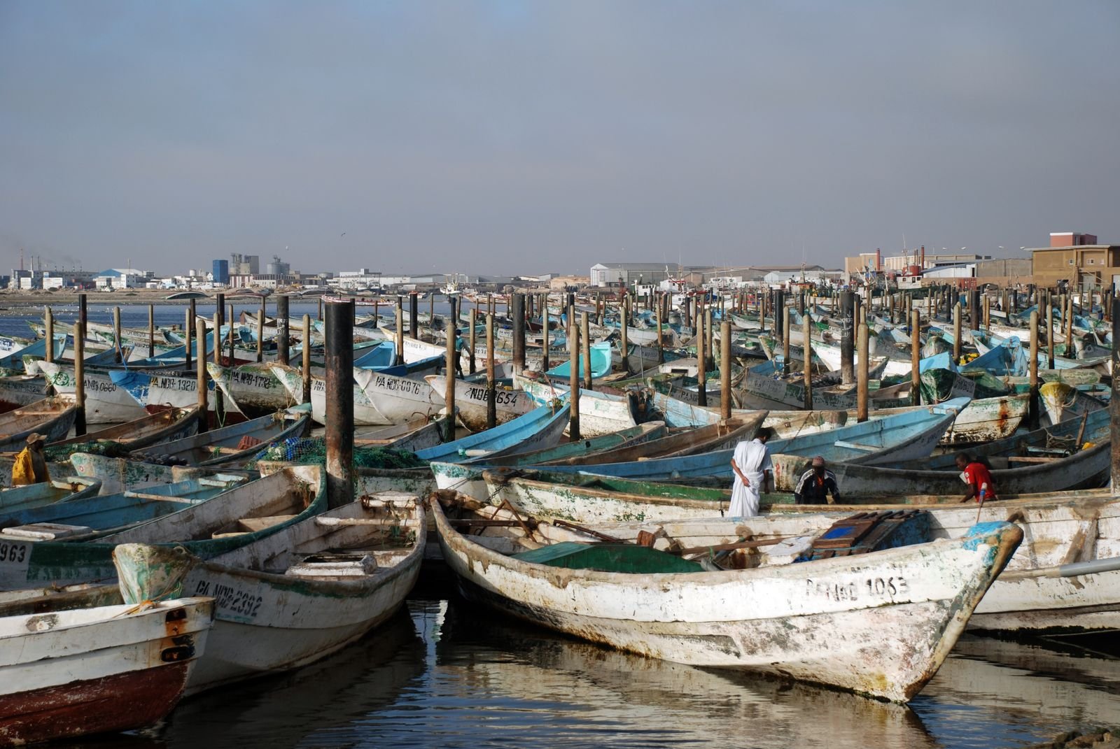 قوارب صيد تقليدية راسية في ميناء الصيد التقليدي بمدينة نواذيبو الموريتانية